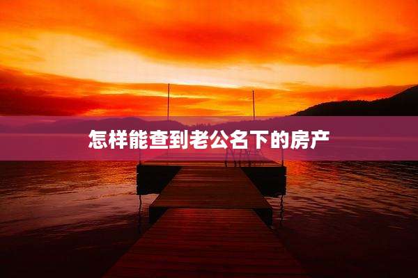 怎样能查到老公名下的房产