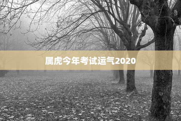 属虎今年考试运气2020