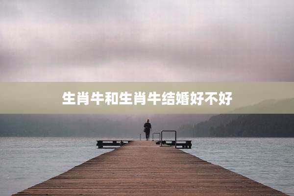 生肖牛和生肖牛结婚好不好