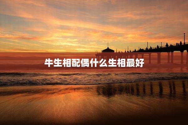 牛生相配偶什么生相最好