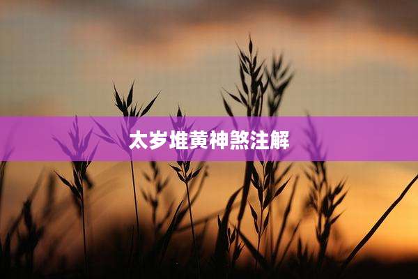 太岁堆黄神煞注解