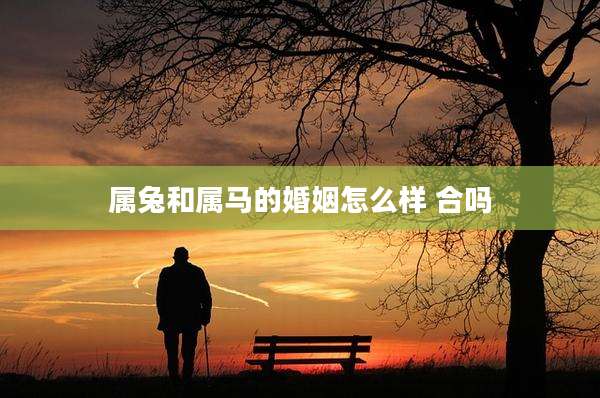 属兔和属马的婚姻怎么样 合吗