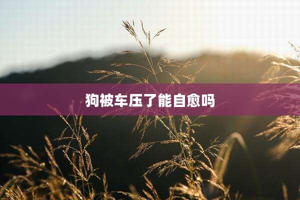 狗被车压了能自愈吗