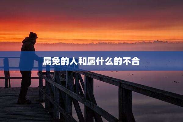 属兔的人和属什么的不合