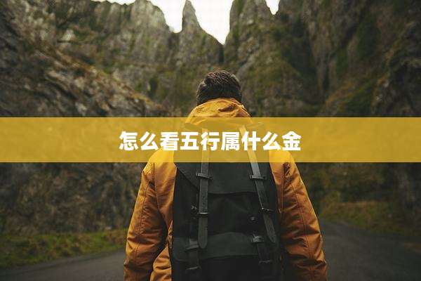 怎么看五行属什么金