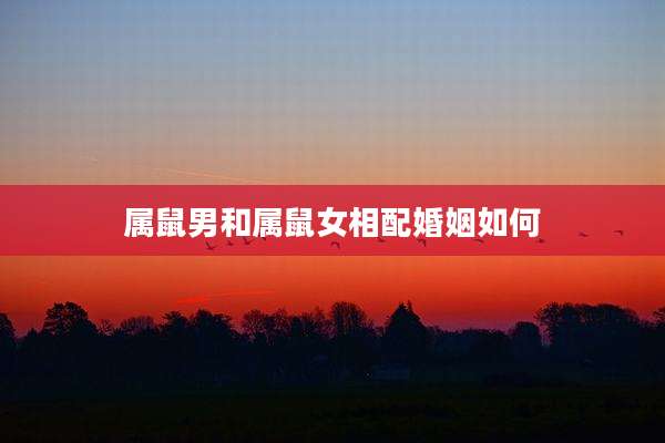 属鼠男和属鼠女相配婚姻如何
