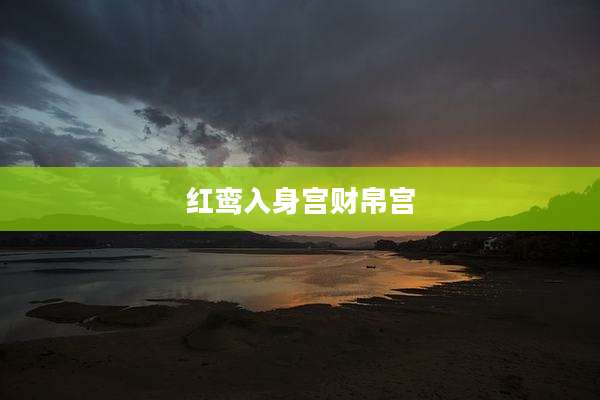 红鸾入身宫财帛宫