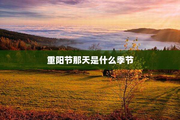 重阳节那天是什么季节
