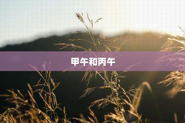 甲午和丙午