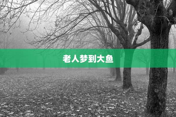 老人梦到大鱼