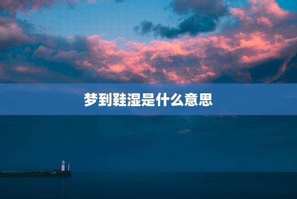 梦到鞋湿是什么意思