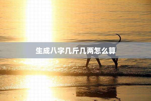 生成八字几斤几两怎么算