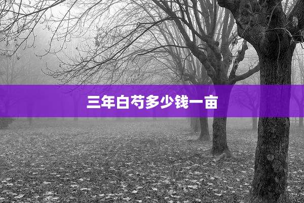 三年白芍多少钱一亩