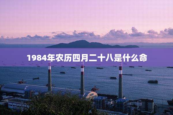 1984年农历四月二十八是什么命