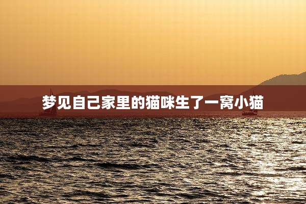 梦见自己家里的猫咪生了一窝小猫