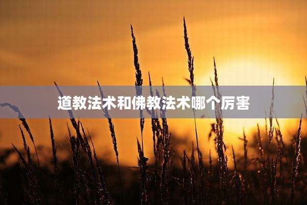 道教法术和佛教法术哪个厉害