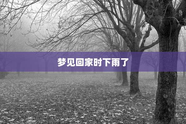 梦见回家时下雨了