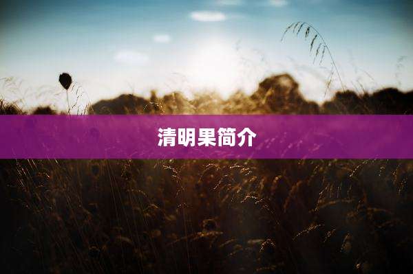 清明果简介
