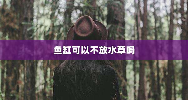 鱼缸可以不放水草吗