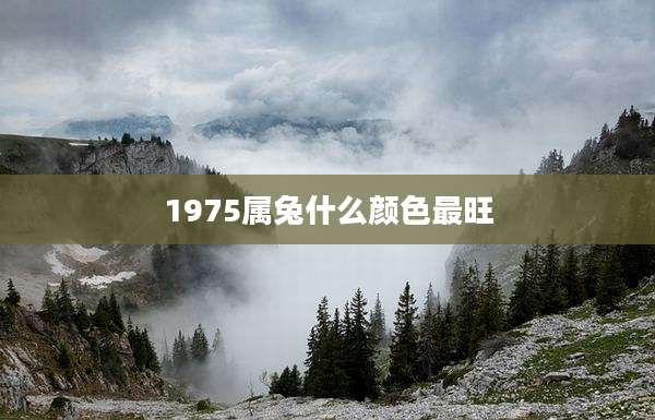 1975属兔什么颜色最旺