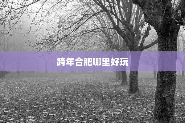 跨年合肥哪里好玩