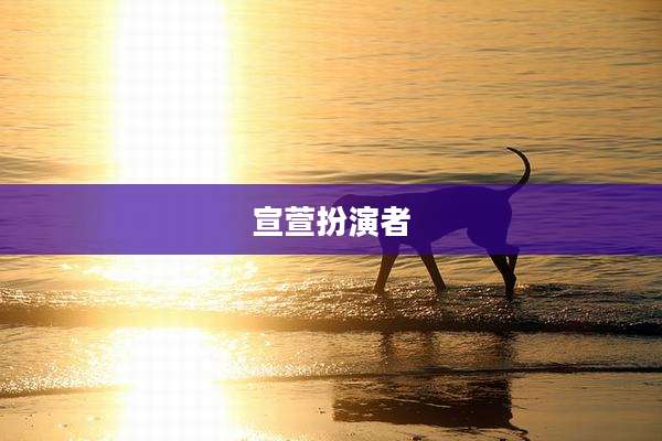 宣萱扮演者