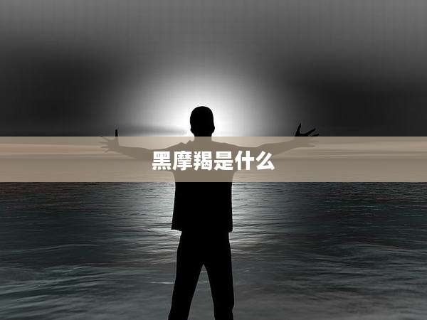 黑摩羯是什么