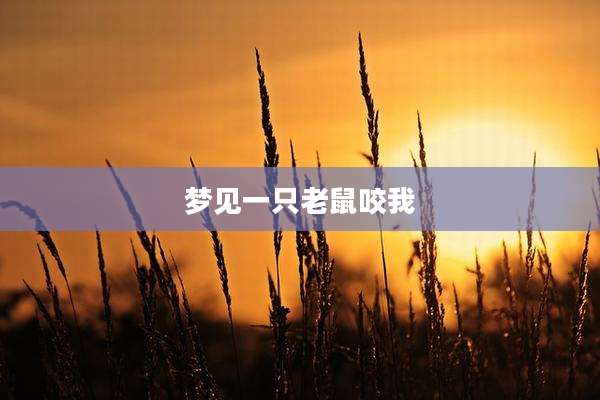 梦见一只老鼠咬我