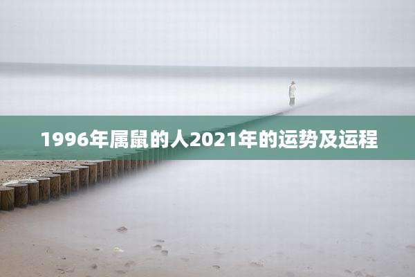 1996年属鼠的人2021年的运势及运程