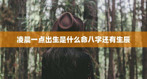 凌晨一点出生是什么命八字还有生辰