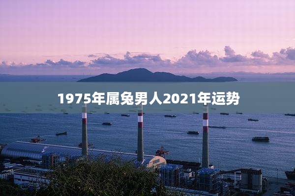 1975年属兔男人2021年运势
