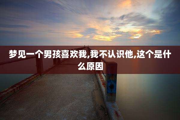 梦见一个男孩喜欢我,我不认识他,这个是什么原因