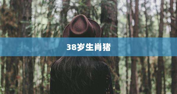 38岁生肖猪