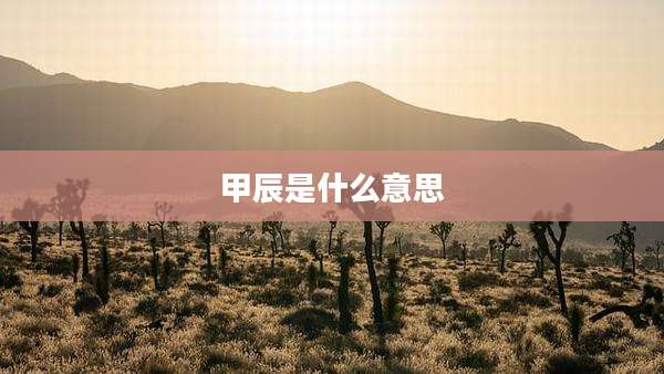 甲辰是什么意思