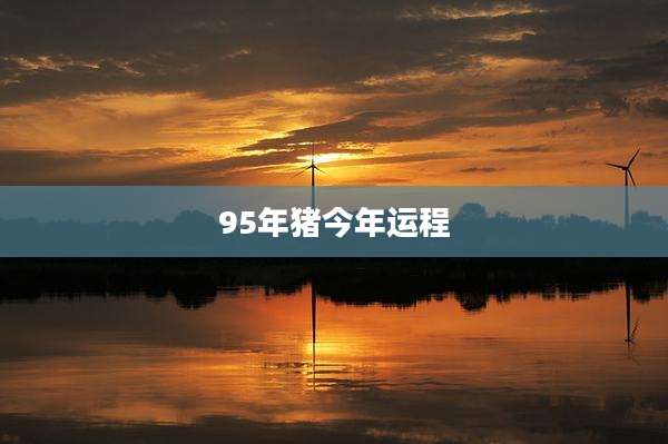 95年猪今年运程