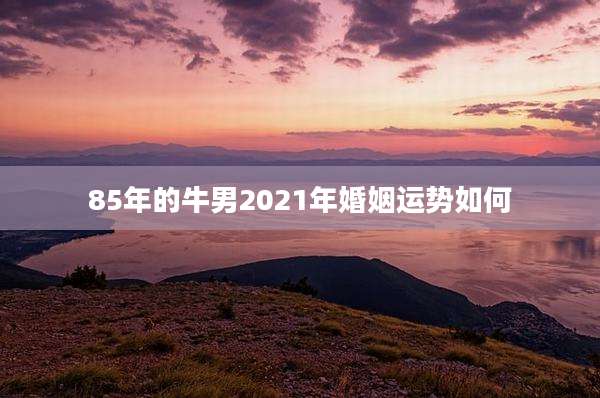 85年的牛男2021年婚姻运势如何