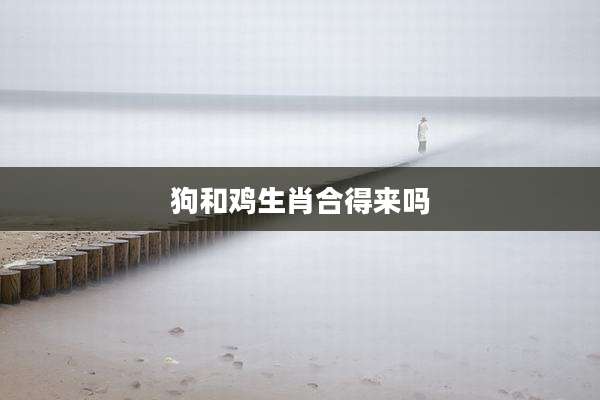 狗和鸡生肖合得来吗