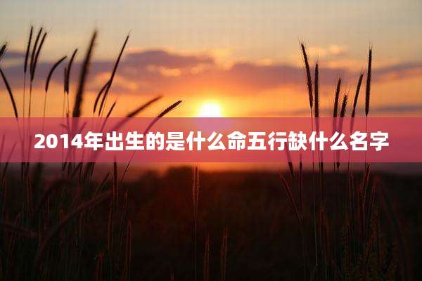 2014年出生的是什么命五行缺什么名字