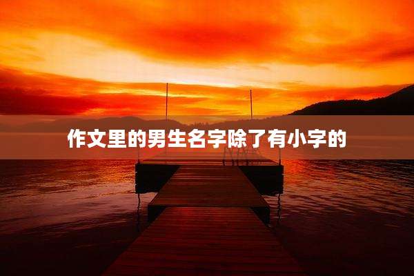 作文里的男生名字除了有小字的