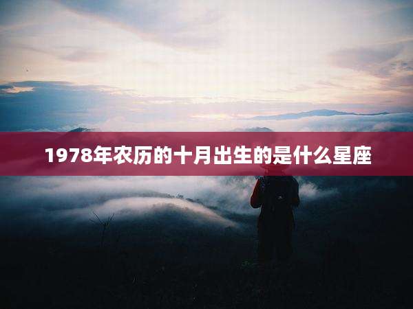 1978年农历的十月出生的是什么星座