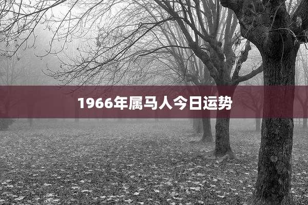 1966年属马人今日运势