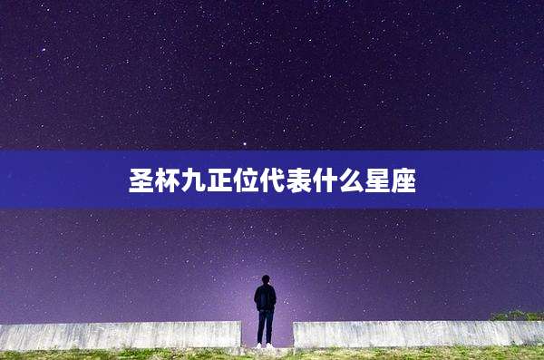 圣杯九正位代表什么星座