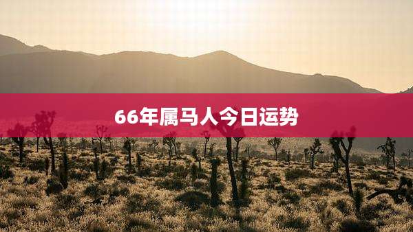 66年属马人今日运势