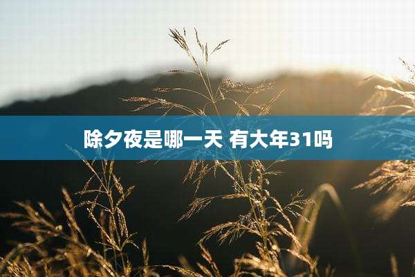 除夕夜是哪一天 有大年31吗