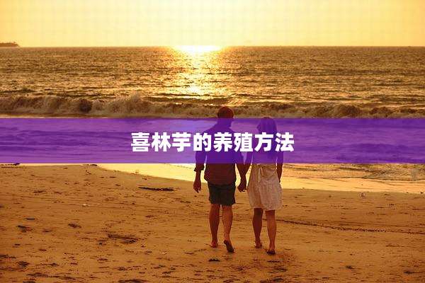 喜林芋的养殖方法