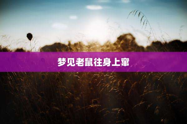 梦见老鼠往身上窜