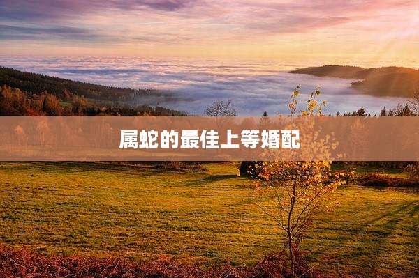 属蛇的最佳上等婚配
