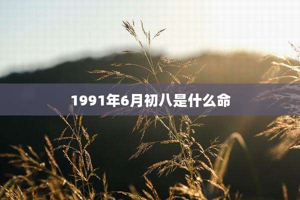 1991年6月初八是什么命