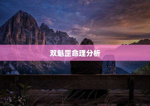 双魁罡命理分析