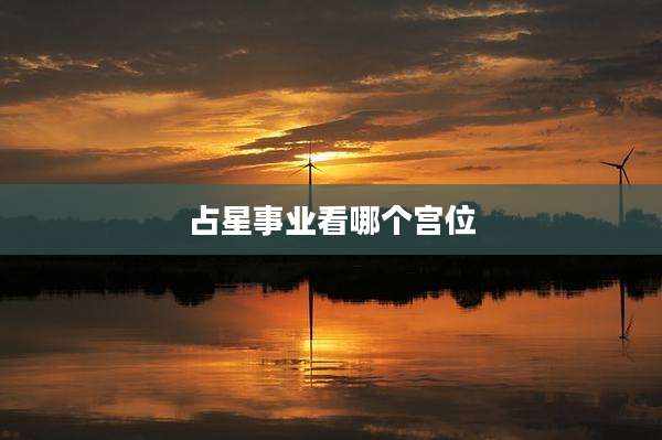 占星事业看哪个宫位